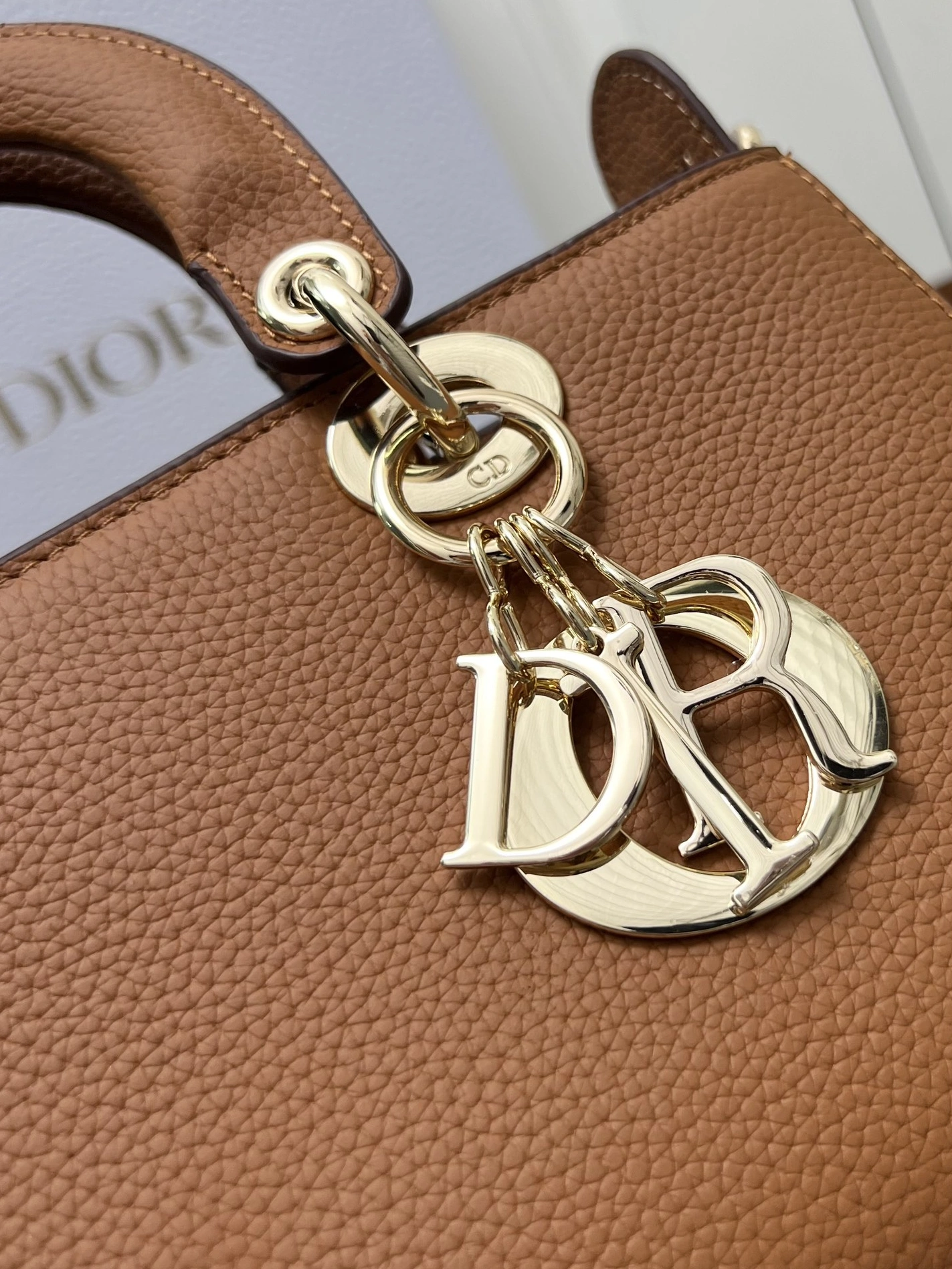 Christian Dior AAA Quality Handbags For Women Resilient 9253 - Image 4