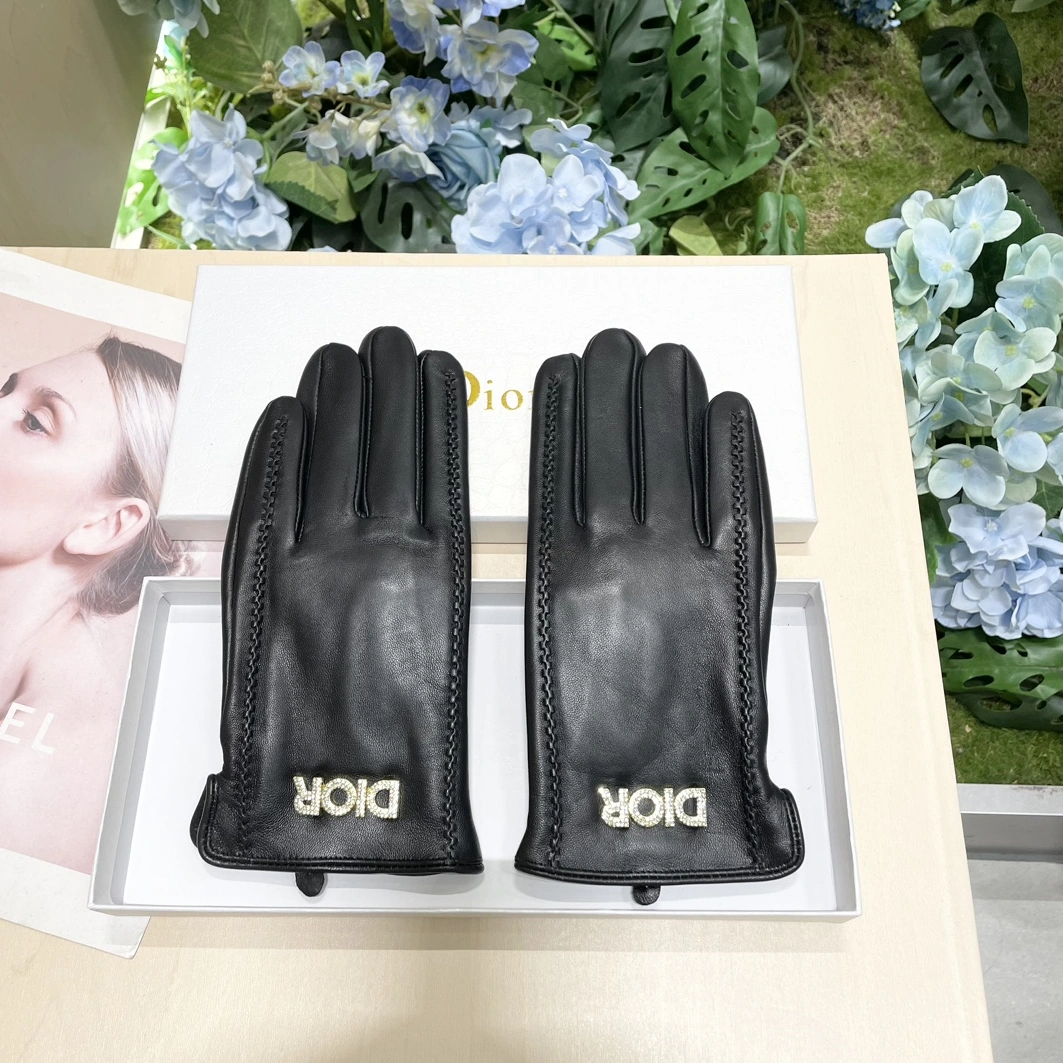 Christian Dior Gloves For Women Affordable 9147