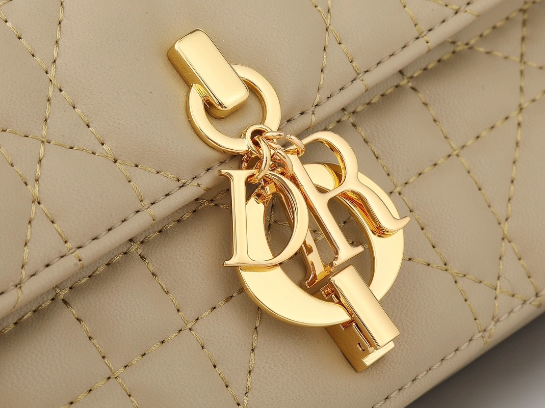 Cozy 2422 Christian Dior AAA Quality Messenger Bags For Women - Image 4