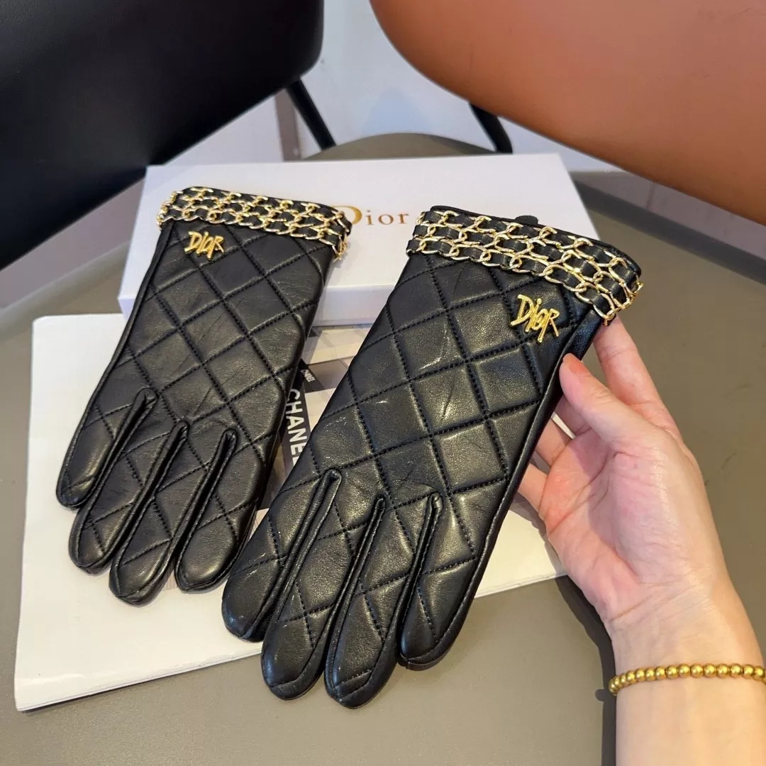 DailyWear 5152 Christian Dior Gloves