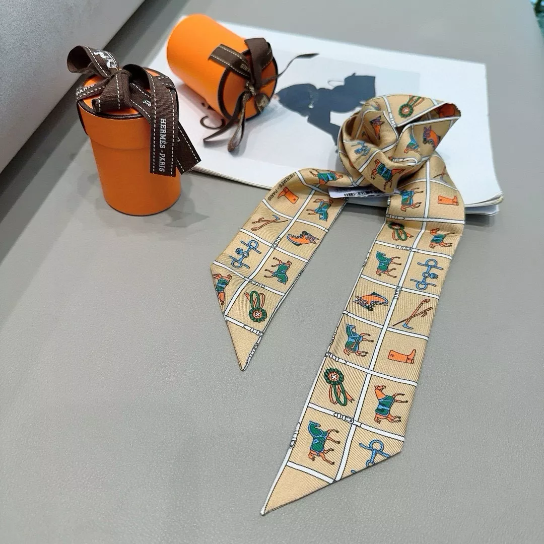 GoAnywhere 8225 Hermes Silk Scarf