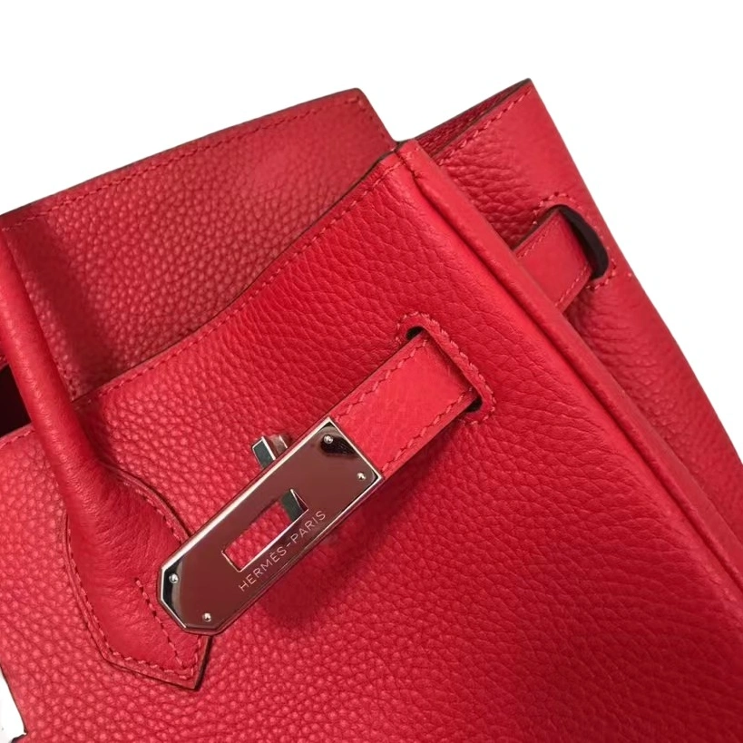 Hermes AAA Quality Handbags For Women Vibrant 6292 - Image 6