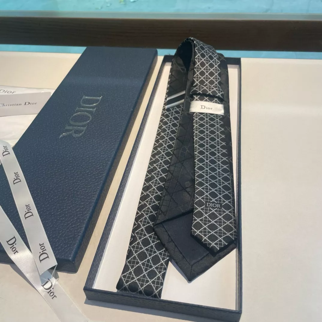 Practical 1987 Christian Dior Necktie - Image 3