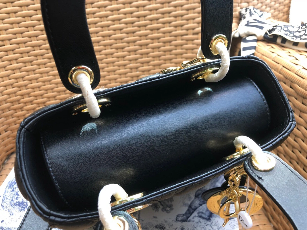 Sleek 1799 Christian Dior AAA Handbags - Image 4