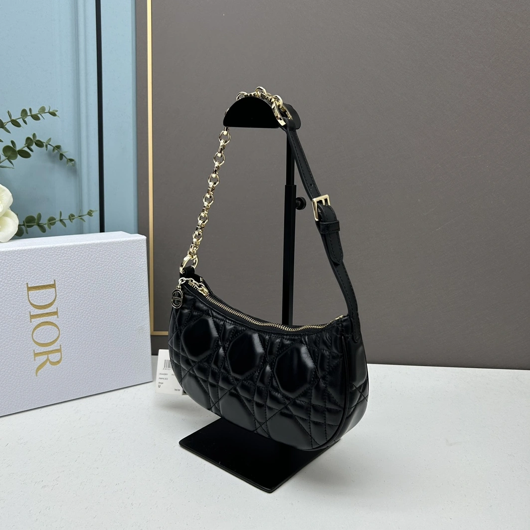 Soft 356 Christian Dior AAA Quality Shoulder Bags For Women