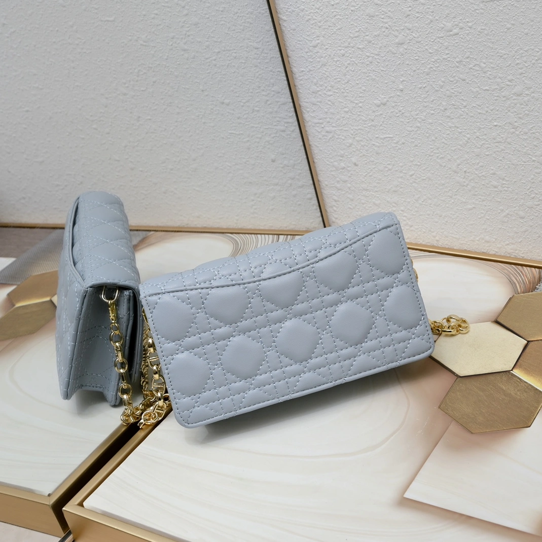 SportInspired 5893 Christian Dior AAA Quality Messenger Bags For Women