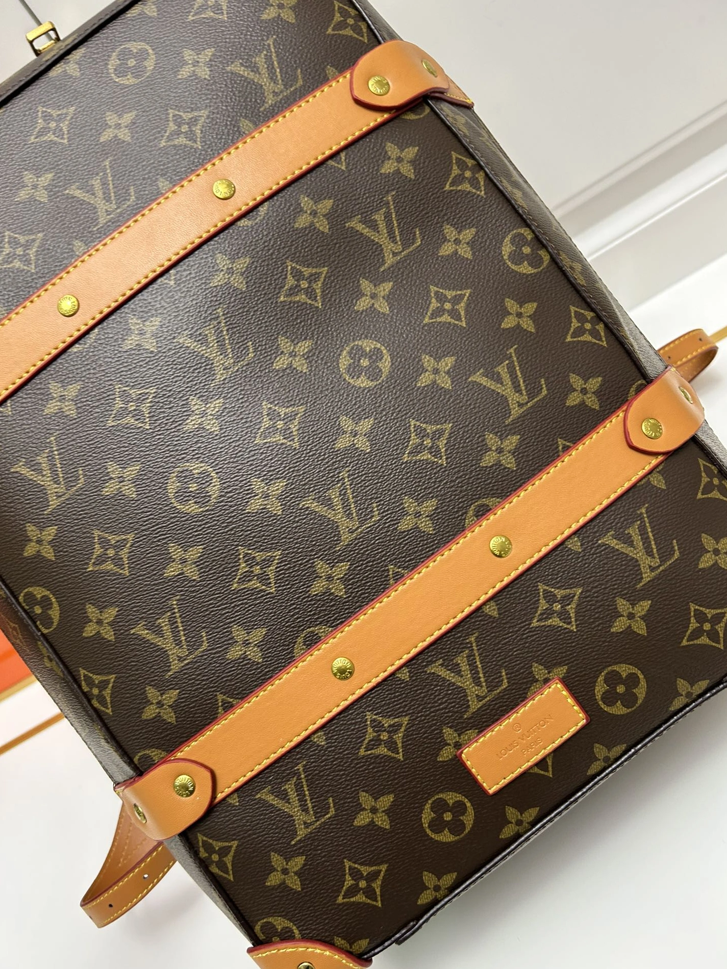 Vibrant 3688 Louis Vuitton AAA Quality Backpacks For Unisex - Image 5