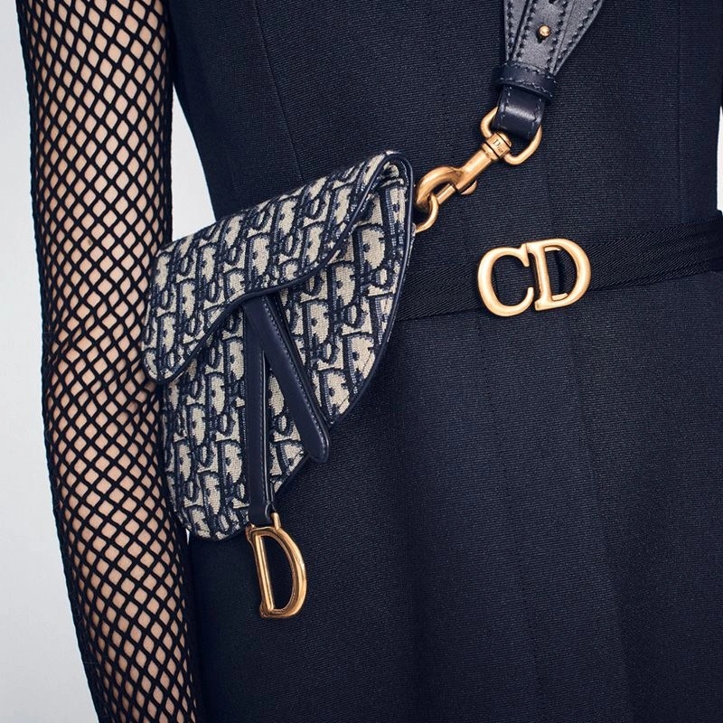 Dior Saddle Flat Belt Pouch Oblique Motif Canvas Blue - Image 4